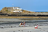 United Kingdom, Channel Islands, Jersey, Saint Ouen, St Ouen's Bay, Faulkner Fisheries in a WW2 german bunker at La Porte