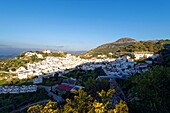 Spanien,Andalusien,Costa del Sol,Provinz Malaga,Casares,weißes Dorf im Hinterland (Pueblos blancos)