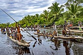 Indonesia, Papua, Asmat district, Per village, greeting ceremony