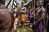 Indonésie,Papua,Bezirk Agats,Dorf Beriten,Stamm der Asmat