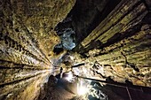 Ecuador, Galapagos, Santa Cruz Island, hikers crossing a lava tube