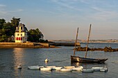 Frankreich,Finistere (29),Cornouaille,Douarnenez,die Insel Tristan,der Hafen von Tréboul und die Bucht von Douarnenez