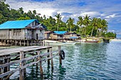 Indonesien,Papua,Raja Ampat,Serpele