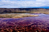 Kenia,Magadi-See,Rift Valley,Soda (Luftaufnahme)