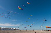 France, Somme, Baie de Somme, Cayeux-sur-mer, Festival of kites along the path of boards and beach huts