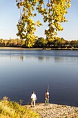 Frankreich,Loiret,Loire-Tal,von der UNESCO in die Liste des Welterbes aufgenommen,