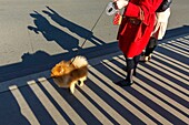 Frankreich,Paris,Ufer der Seine,von der UNESCO zum Weltkulturerbe erklärt,Menschen und Hund auf der Bir-Hakeim-Brücke,auch Viaduc de Passy genannt