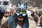 Switzerland, Valais, Evolene valley, Evolene, Carnaval with the Empailles and the Peluches who come from Pagan rites and go around the villages to frighten the bad spirits of winter