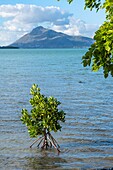 Mauritius,Bezirk Riviere Noire,Westküste von der Halbinsel Le Morne