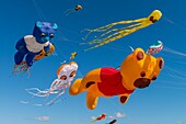 France, Somme, Baie de Somme, Cayeux-sur-mer, Festival of kites along the path of boards and beach huts