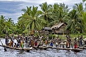 Indonesia, Papua, Asmat district, Per village, greeting ceremony