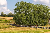 France, Finistère (29), Cornwall, Locronan, The Great Procession of Locronan is one of the greatest pardons of Brittany which takes place only every 6 years, the route is lined with huts housing the Saints, the procession is done in traditional costumes