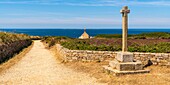 Frankreich,Finistère (29),Cornouaille,Cléden-Cap-Sizun,Pointe du Van,Diese felsige Landzunge westlich von Cap Sizun schließt den Norden der Baie des Trépassés ab,deren Süden durch die Pointe du Raz abgeschlossen wird