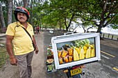 Mauritius,Bezirk Savanne,Strand Saint-Felix,Straßenverkäufer mit Obst