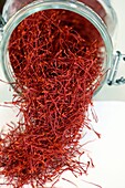 France, Territoire de Belfort, Rougegoutte, field, Crocus (Crocus sativus), at Catherine Schwalm's producer of saffron, jar of dried stigmas, saffron