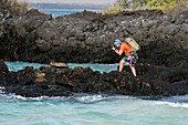 Ein Tourist beim Fotografieren am Strand von Bachas,Insel North Seymour,Galapagos-Inseln,Ecuador