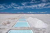 Argentinien,Provinz Salta,Puna-Wüste,San Antonio de Los Cobres,Salzwüste,Salinas Grandes bei Tres Morros