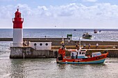 Frankreich,Finistere (29),Cornouaille,Le Guilvinec,erster Fischereihafen Frankreichs,die Rückkehr der Trawler in den Hafen,um den Fisch zu entladen und zu versteigern