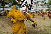 Papua New Guinea, Gulf Province, Toare Village, traditional festival called sing-sing, Iai Mehero masks