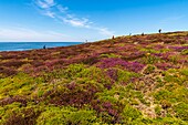 Frankreich,Finistère (29),Cornouaille,Plogoff,Pointe du Raz,felsige Landzunge,die den am weitesten fortgeschrittenen Teil westlich von Kap Sizun bildet,mit Blick auf das Meer von Iroise