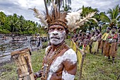 Indonesia, Papua, Asmat district, Per village, pole ceremony