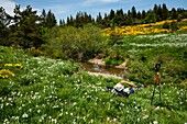 Frankreich,Ardeche,Parc Naturel des Monts d'Ardeche,Sablieres