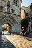 France, Gironde, Bordeaux, area listed as World Heritage by UNESCO, Saint-Pierre district, Porte Cailhau or Porte du Palais from the 15th century