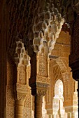 Spain, Andalusia, Granada, the Alhambra Palace, listed as World Heritage by UNESCO, built between 13th and 14th century by the Nasrides dynasty, islamic architecture, the Nasrides Palace, Patio de Los Leones (Court of the Lions)