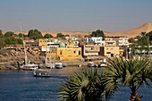 Egypt, Upper Egypt, Aswan, village on the left bank of the Nile with its ocher mosque, houses with flat roof and vegetation