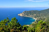 Italien,Ligurien,Provinz La Spezia,Nationalpark Cinque Terre,von der UNESCO zum Weltkulturerbe erklärt,das Dorf Monterosso al Mare