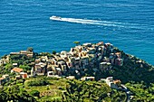 Italien,Ligurien,Provinz La Spezia,Nationalpark Cinque Terre,von der UNESCO zum Weltkulturerbe erklärt,das Dorf Corniglia