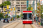 Canada, Ontario province, Toronto, Harbourfront District