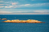 Kanada,Provinz Quebec,Region Manicouagan,Les Bergeronnes,Cap de Bon Desir