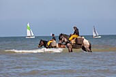 Belgien,Provinz Westflandern,Koksijde,Oostduinkerke,die Krabbenfischerei zu Pferd ist eine weltweit einzigartige Art des Fischfangs,die 2013 von der UNESCO als immaterielles Kulturerbe der Menschheit anerkannt wurde und deren Tradition mehrere Jahrhunderte zurückreicht