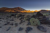 Spanien,Kanarische Inseln,Insel Teneriffa,Parque Nacional del Teide (Teide-Nationalpark),von der UNESCO zum Weltkulturerbe erklärt,Vegetation und Felsen bis zum Vulkan Teide