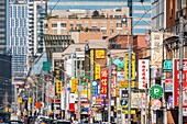 Canada, Ontario province, Toronto, Dundas street and Chinatown