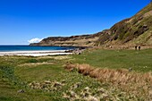 Vereinigtes Königreich,Schottland,Highland,Innere Hebriden,Isle of Mull,Calgary Bay beach