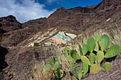 Spanien,Kanarische Inseln,Insel Gran Canaria,Fuente de los Azulejos,Kupferoxid