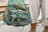 Philippinen,Palawan,Malampaya Sound Protected Landscape and Seascape,Fischer mit einem Sack voller blauer Krabben