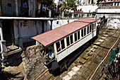 Portugal, Minho Region, Braga, Sanctuary of Bom Jesus do Monte classified UNESCO World Heritage accessible by a master staircase of 600 steps, Via Sacra, consisting of the stairs of the Five Senses and the staircase of the Three Virtues, funicular dating from 1882 with water counterweight