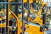 Canada, Ontario province, School Bus