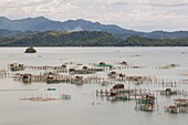 Philippines, Palawan, Malampaya Sound Protected Landscape and Seascape, typical fishing gear with a bamboo structure maintaining fish nets