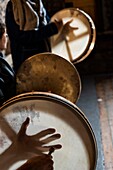 Ireland, Meath County, Navan area, Causey Farm, pedagogical farm, school of celtic drum tambourine