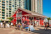 Canada, Ontario province, Toronto, Harbourfront District