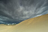 Spain, Canary Islands, Gran Canaria Island, the 250-hectare Maspalomas Dunes