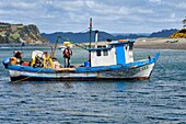 Chile,Region Los Lagos,Archipel von Chiloe,Insel Chelin,Muscheln auf einem Fischerboot