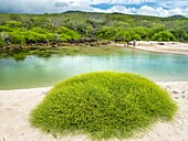 Ecuador, Galápagos archipelago, listed as World Heritage by UNESCO, San Cristobal Island, natural reservoir of seawater behind Ochoa beach