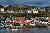 United Kingdom, Scotland, Highland, Argyll and Bute, Oban, the port and whiskey distillery