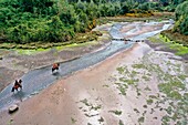 Chile, Los Lagos region, Chiloé Island, Castro District, Rilan Peninsula, San José Municipality, Tierra Chiloé hotel, riders in the estuary (aerial view)