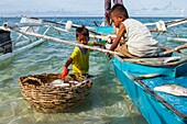 Philippines, Palawan, Roxas, Johnson Island, boy taking fresh fishes from the boat